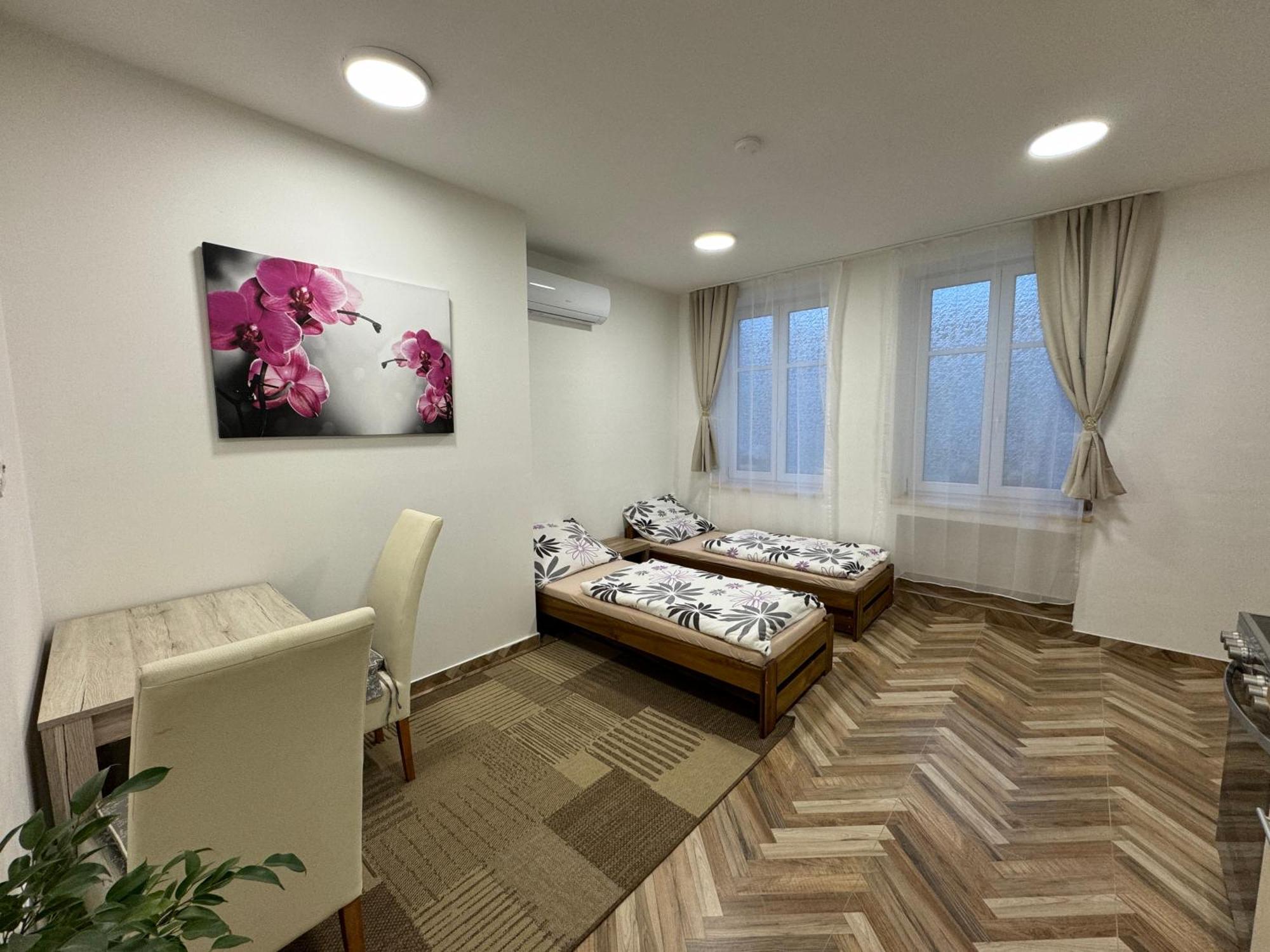 Holicak Apartment Olomouc Exterior photo